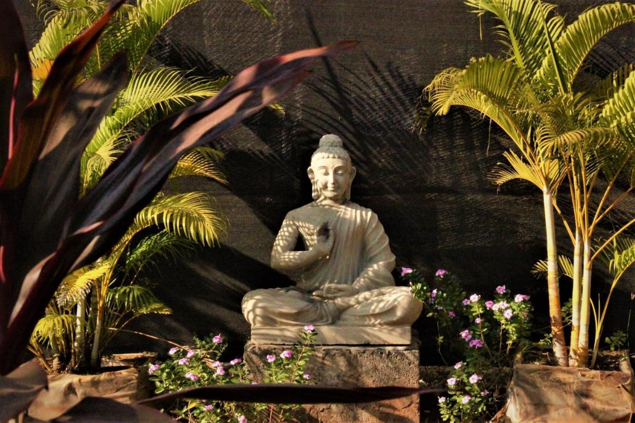 Lotus Sutra Hotel Arambol Buitenkant foto